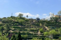 专打红魔！哈兰德对曼联已直接参与11球，比其他任何英超对手都多